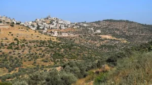 سلطة الأراضي تعلن تعليق 9 أحواض تسوية للاعتراض في خمس محافظات